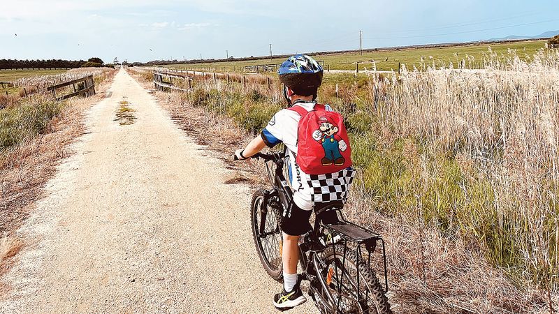 Seven-year-old embarks on epic journey post image
