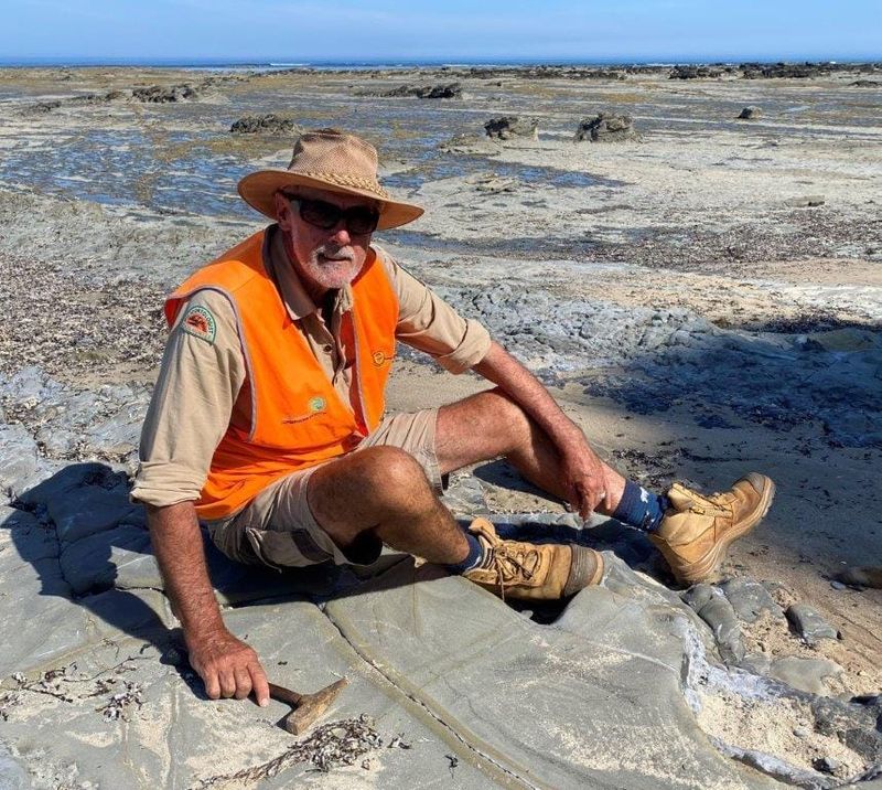 ‘World’s oldest’ megaraptorid bone found at Shack Bay post image