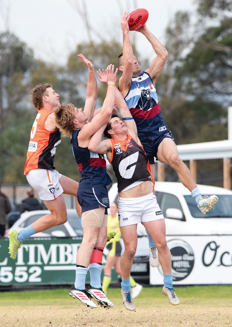 Panthers retain Gus James Shield post image