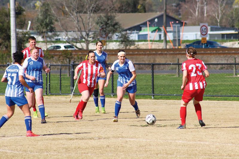 Knights draw in second last round before finals post image