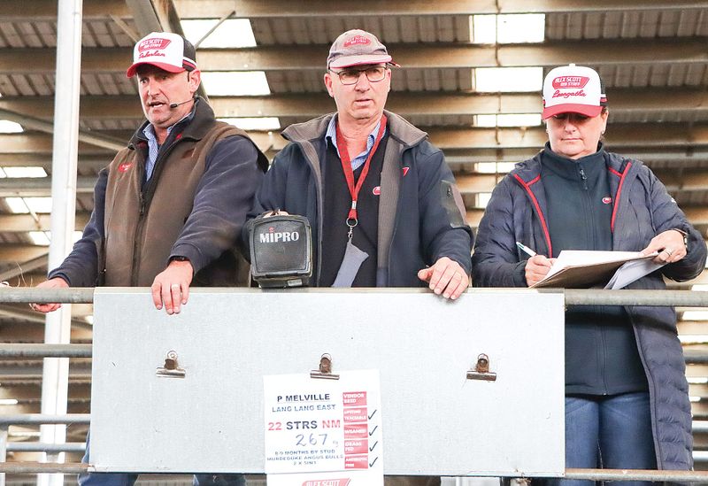 Heavy cattle continue to sell well at Leongatha VLE post image