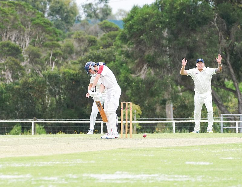 Donohue and Dakin dominate post image