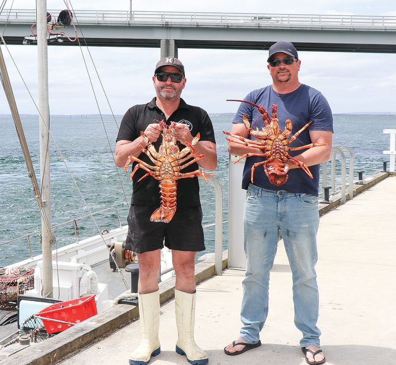 Fishy practices in seafood industry post image