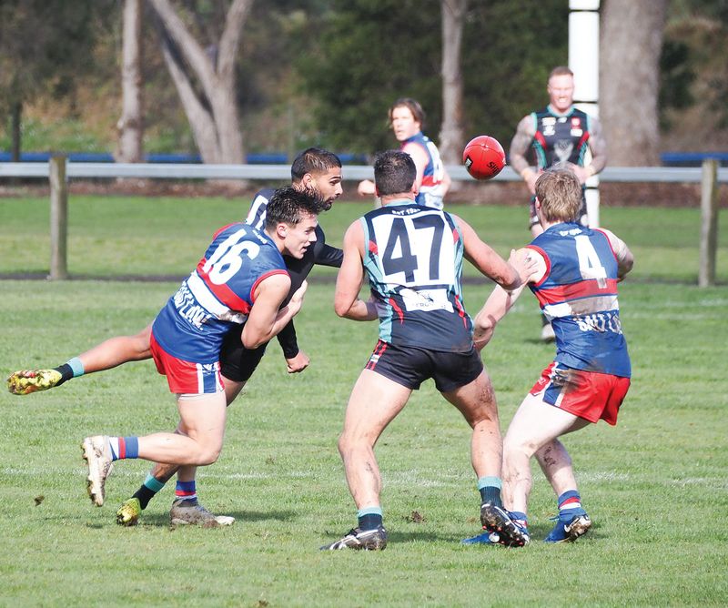 Bulldogs fail the litmus test at the Cobradome post image