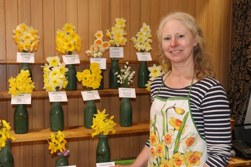 Daffodils and more; don't miss out! post image