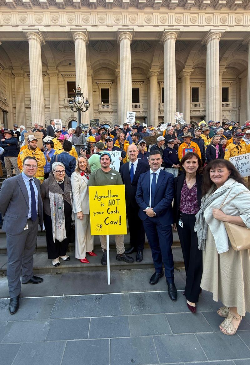 Local councillors join Melbourne levy protest post image