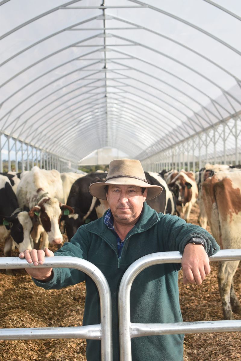 Gippsland farmer avoiding mud and saving feed with new shelters post image