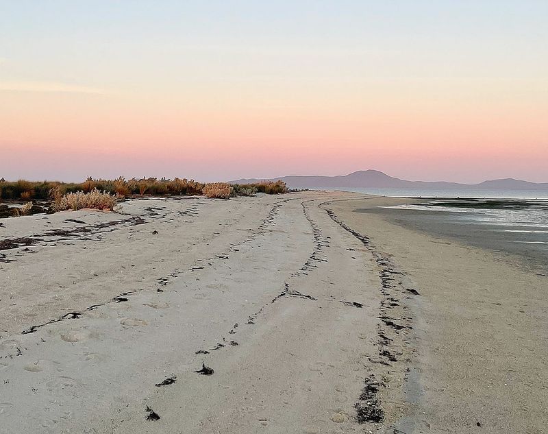 Calls for council not to hand foreshore land management to Government post image