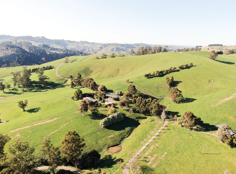 Charming beef cattle farm on 137 acres in Strzelecki post image