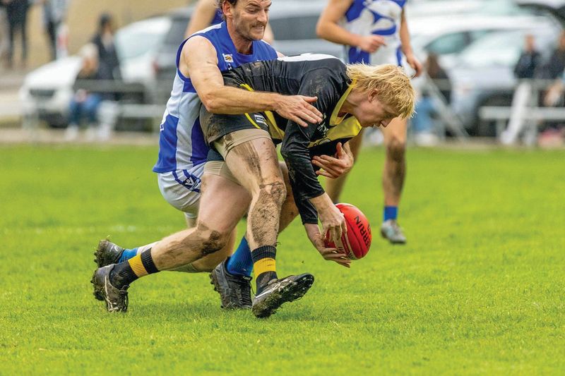 Sharks pick apart Tigers post image