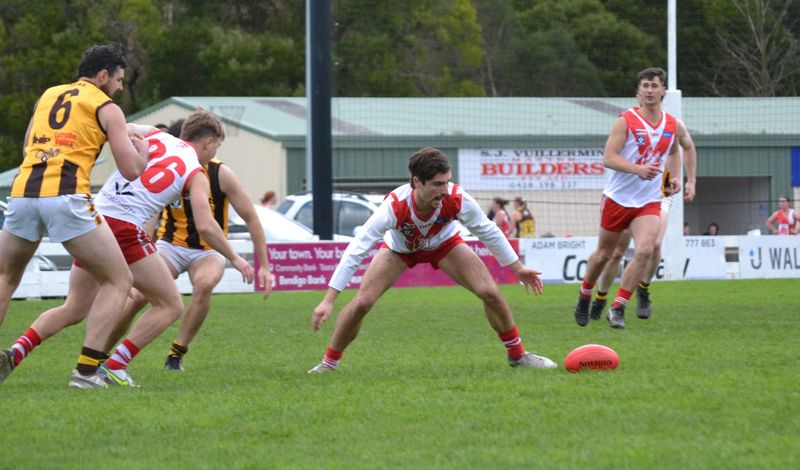 Kangas jump out on top post image