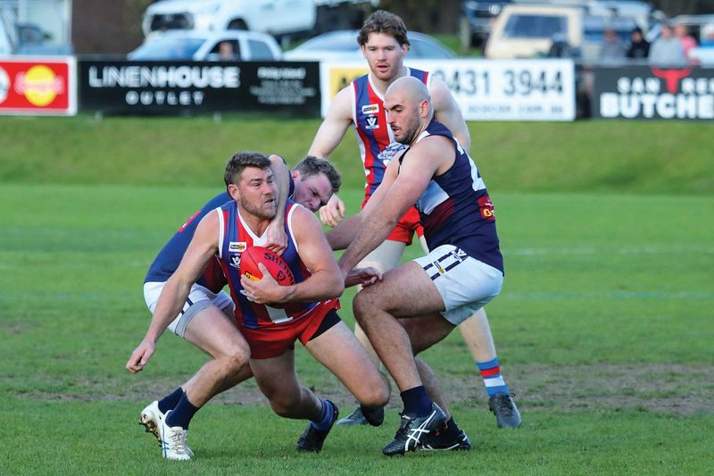 Bulldogs flex their muscles post image