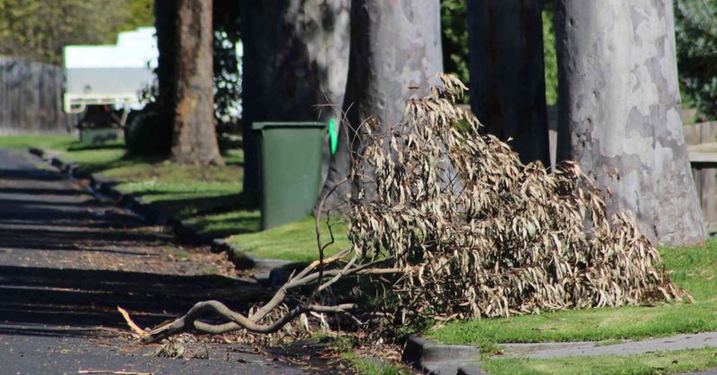 Let’s go free green waste in Bass and South Gippy post image