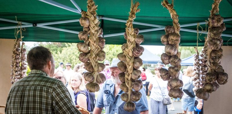 Garlic Festival coming back to South Gippsland in 2025 post image