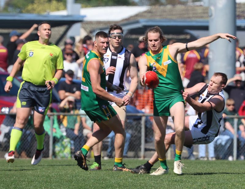 Parrots Reserves swoop on a piece of football history post image