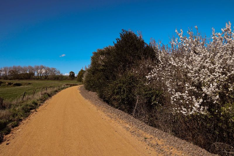 Have your say on marketing the Great Southern Rail Trail post image