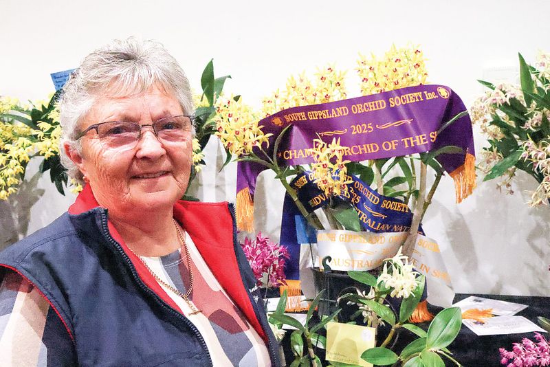 First-time exhibitor wins Champion Orchid at South Gippsland Orchid Show post image