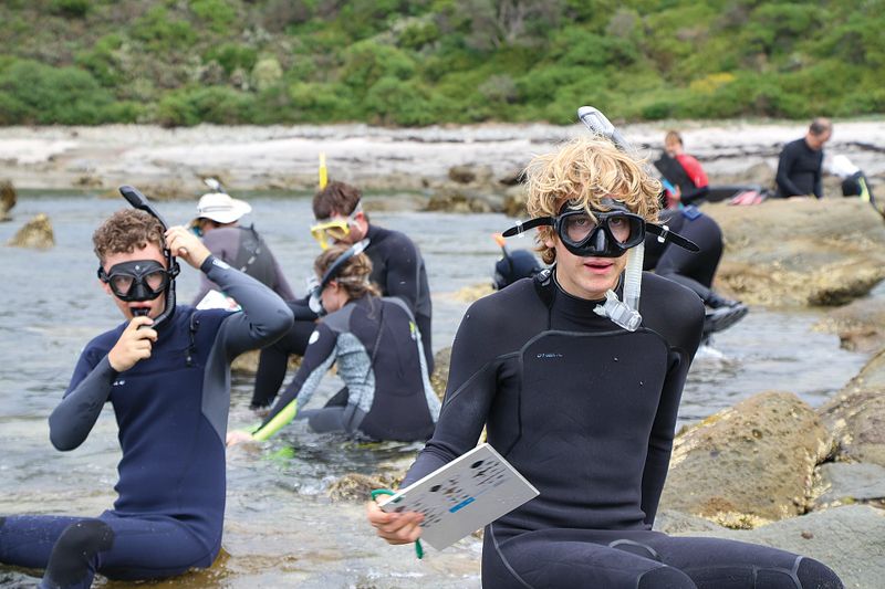 Great Victorian Fish Count at Shack Bay post image