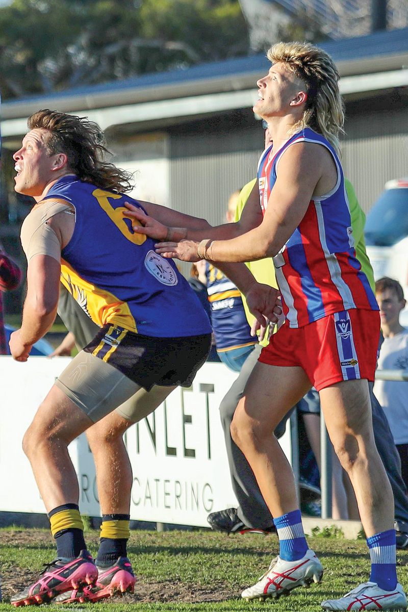 Dogs bite back in grand final rematch post image