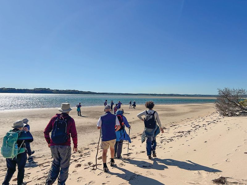 Explore the local terrain with the Bass Coast Strollers post image