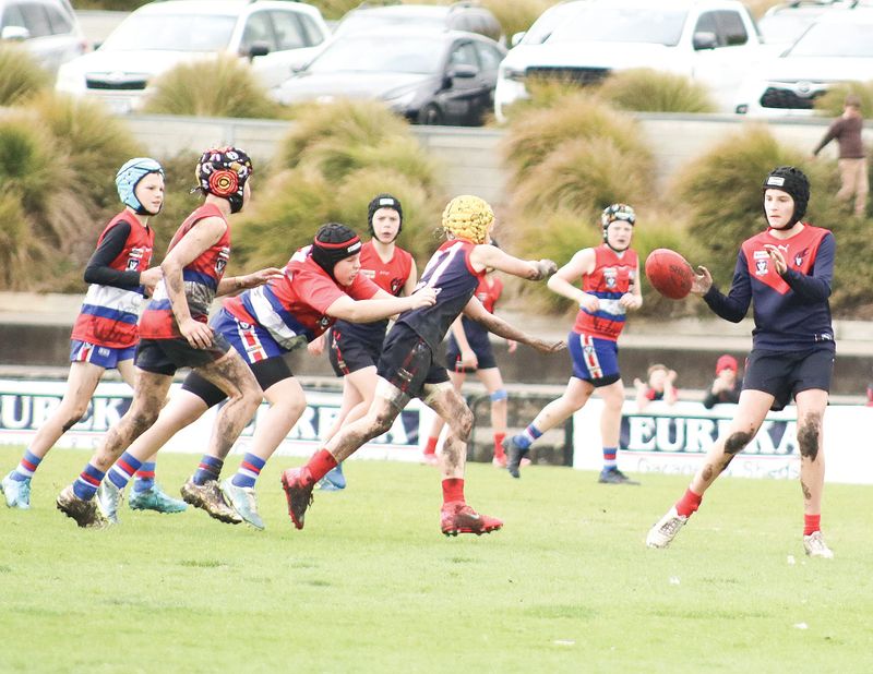 South Gippy teams dominate Central Gippsland juniors post image