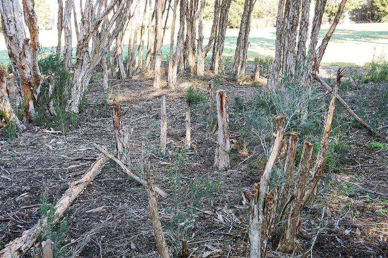 Locals tired of park destruction post image