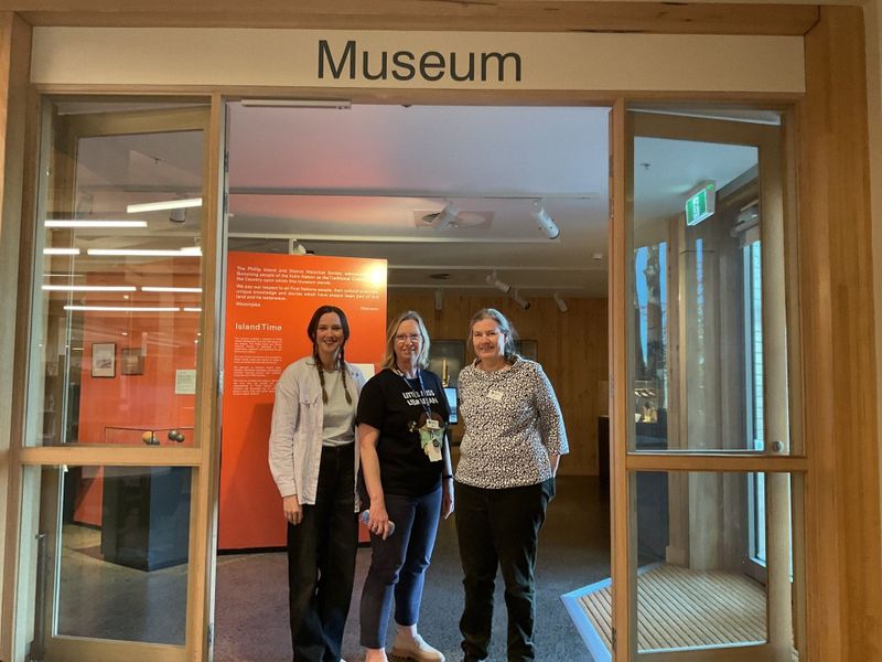 Free resources and support to help you explore your family tree post image