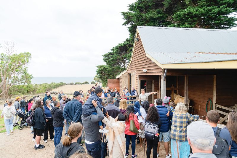 Phillip Island Nature Parks to welcome community post image