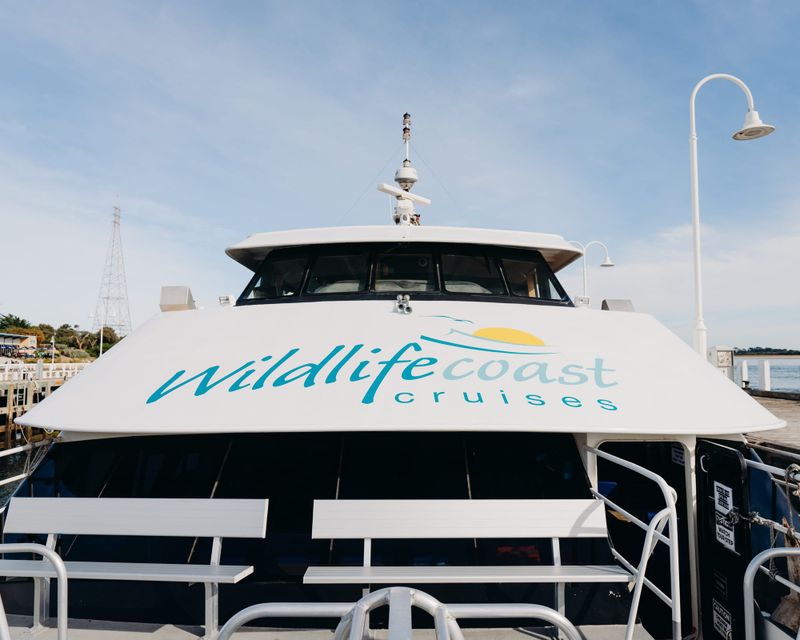 Wildlife Coast Cruises wins again for 2024 post image