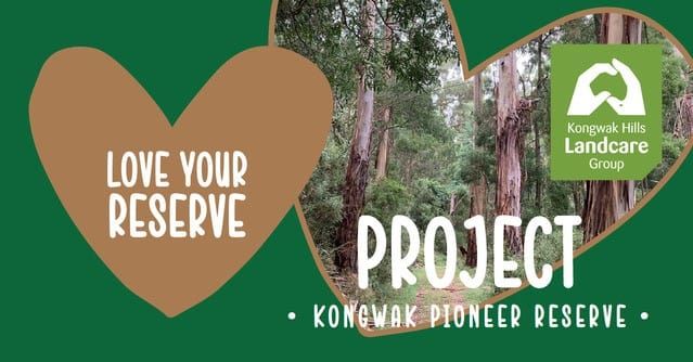 You're invited to a tree planting day at Kongwak post image
