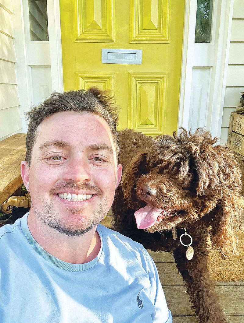 Have your say on domestic animal management in South Gippsland post image