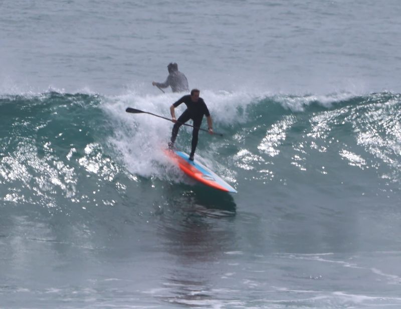 Bass Coast riding high on back-to-back major events post image