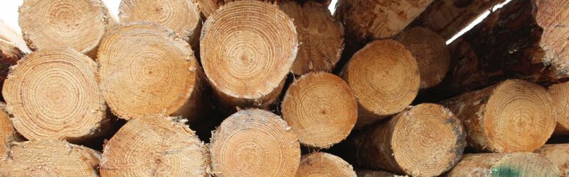 AKD announces closure of Yarram sawmill post image