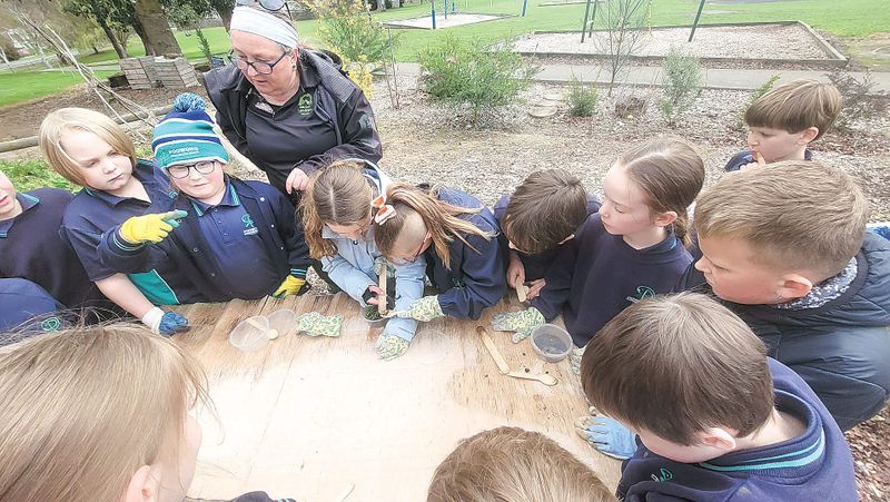 Poowong students become citizen scientists through Landcare grant post image