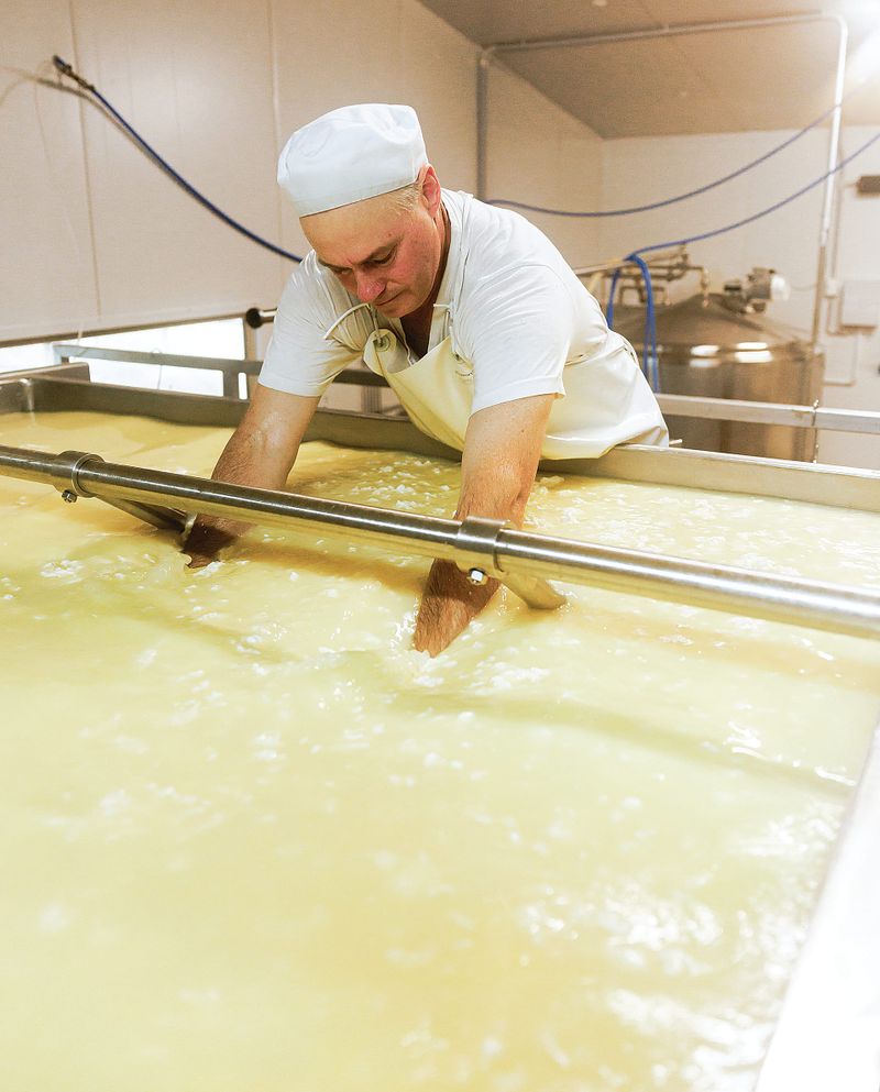 South Gippsland cheesemakers sweep blue cheese finals post image