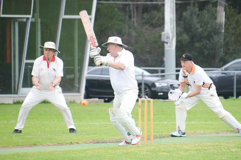 Goannas fall short against Essendon post image