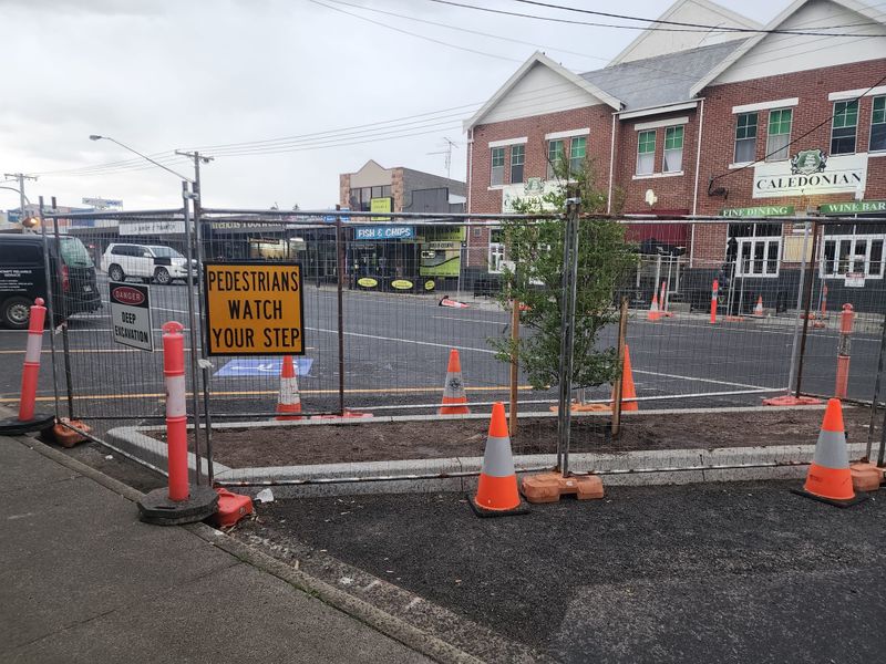 First crepe myrtles planted on Graham Street post image