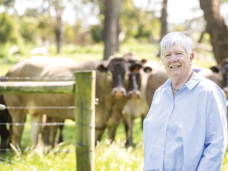 Rushed job – VFF calls on Bass Coast to defer rates review post image