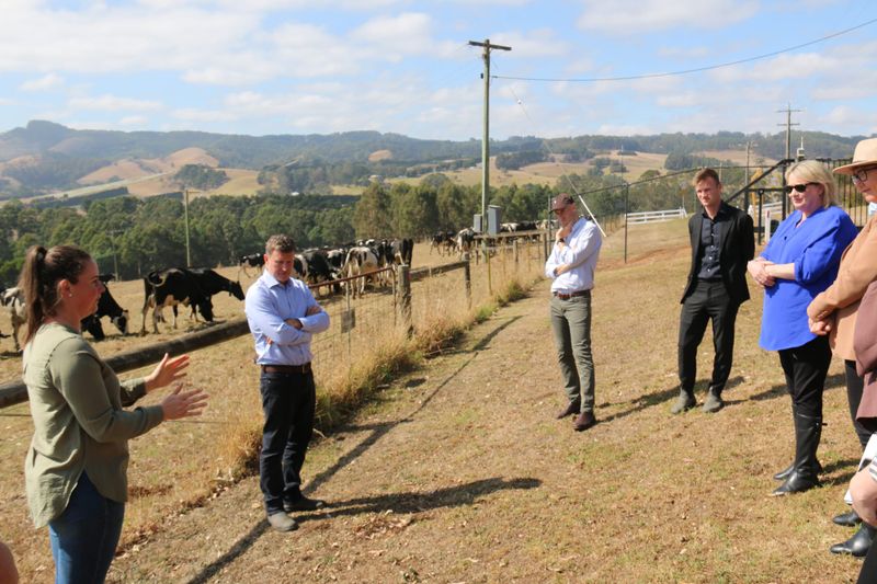 Virtual fencing technology has been given the green light post image