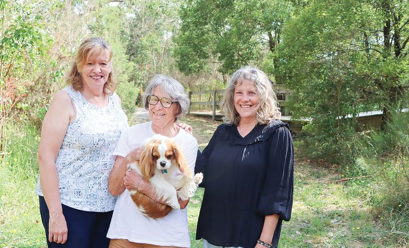 Weaving basketry magic into Inverloch’s environment post image