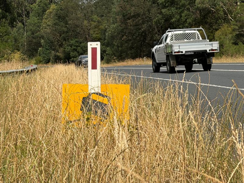 Unslashed highways spark fire fears post image