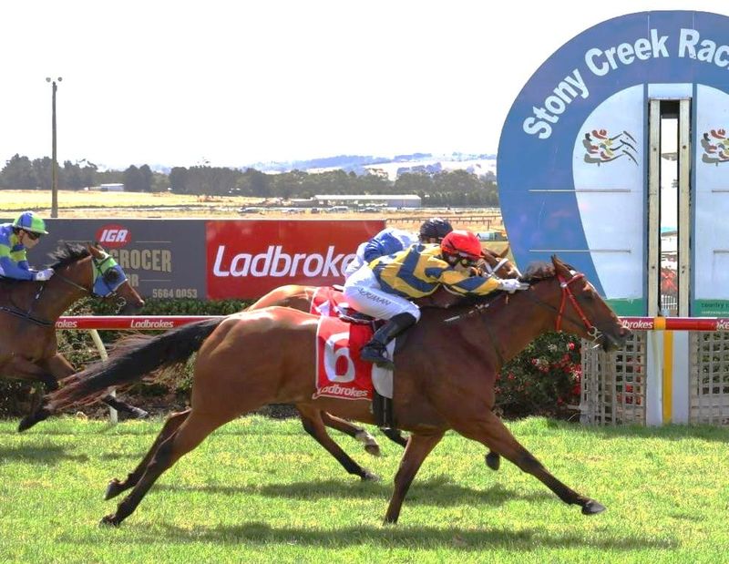 International flavour to ‘triple dead heat’ day at Stony Creek post image