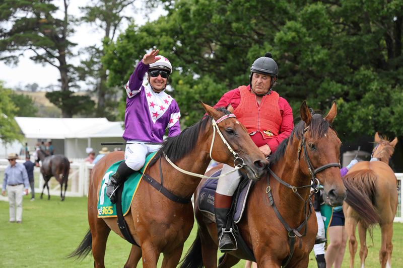 Mare carries record weight to victory at Woolamai post image