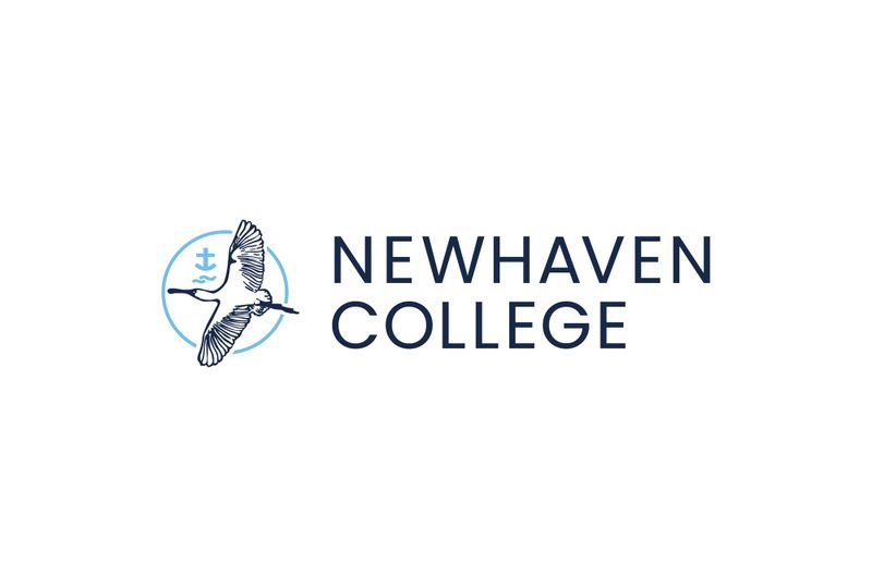 Director of Learning post image