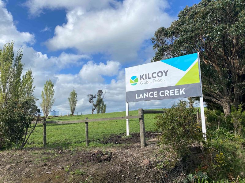 Jobs boom as Kilcoy expands its Lance Creek abattoir post image
