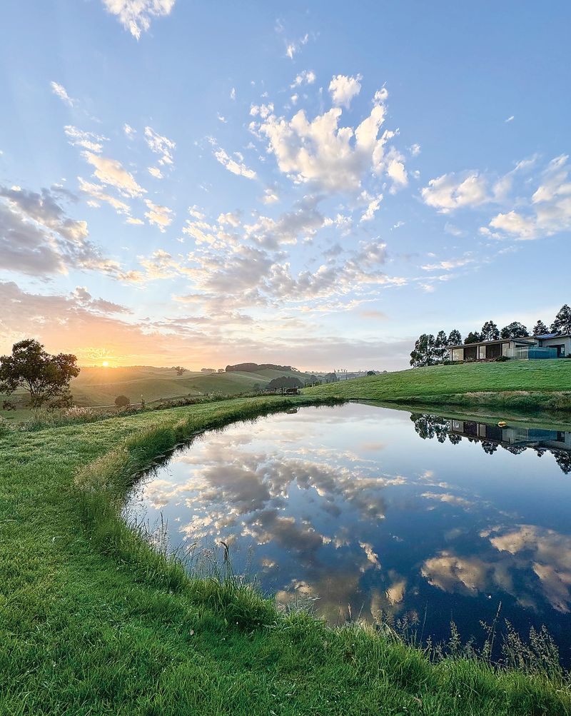 Local photographers recognised in Australia Day competition post image