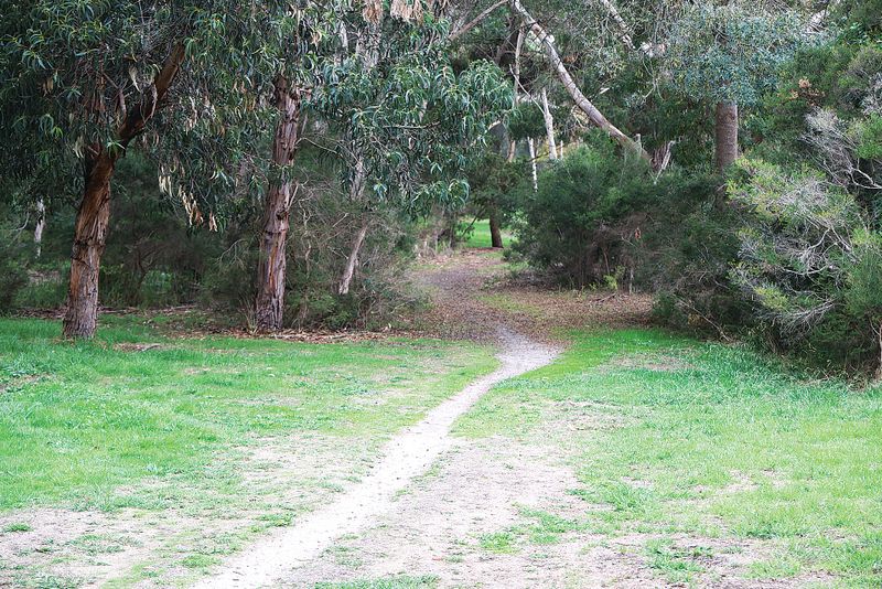 Alternative route proposed  for Surf Parade bike track post image