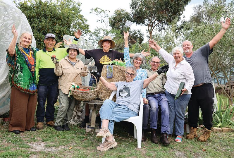Living lightly in small spaces with simple no-dig gardening post image