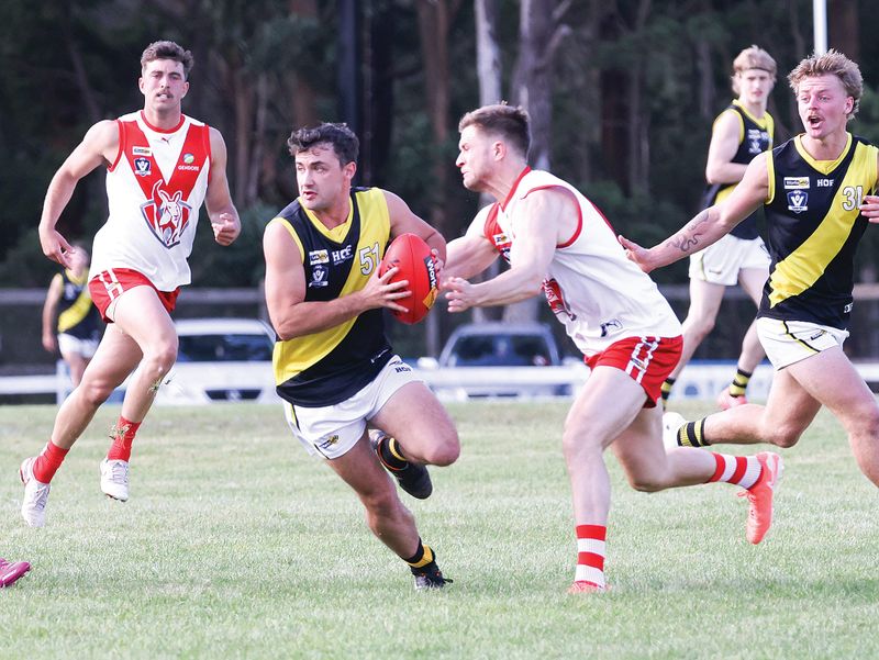 Kangaroos overrun Tigers post image