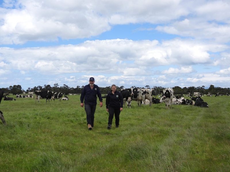 The 2026 GippsDairy Muster: From Grass to Growth in Toora post image